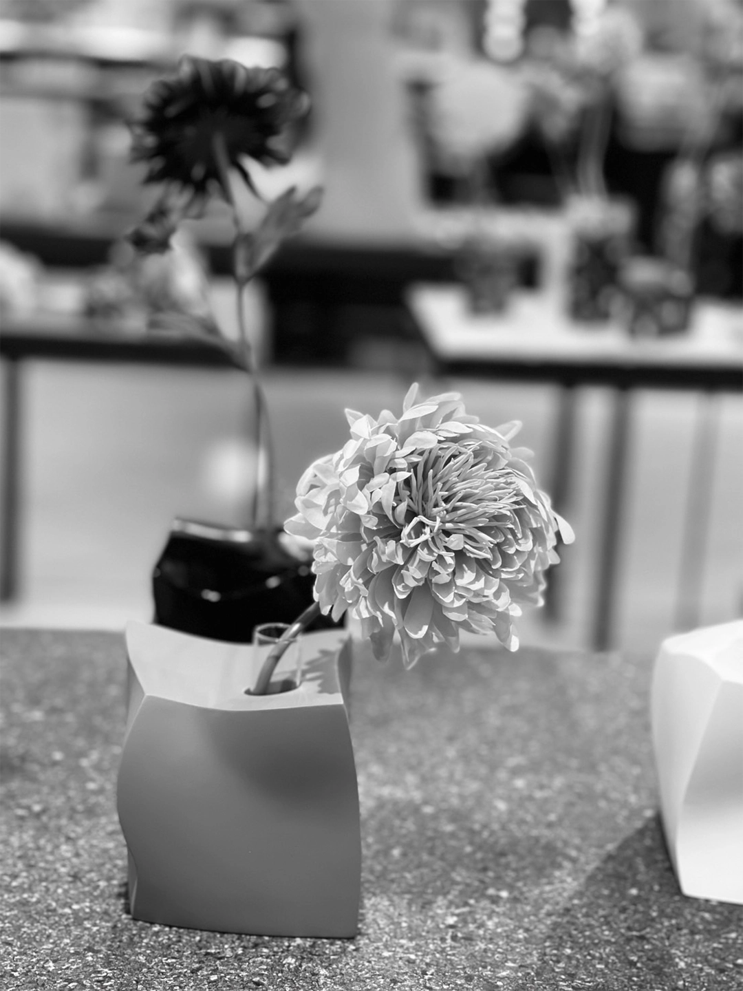 一輪挿し 花瓶 フラワーベース 「CUBE」 QUINT by NANASAI – NANASAI ONLINE STORE